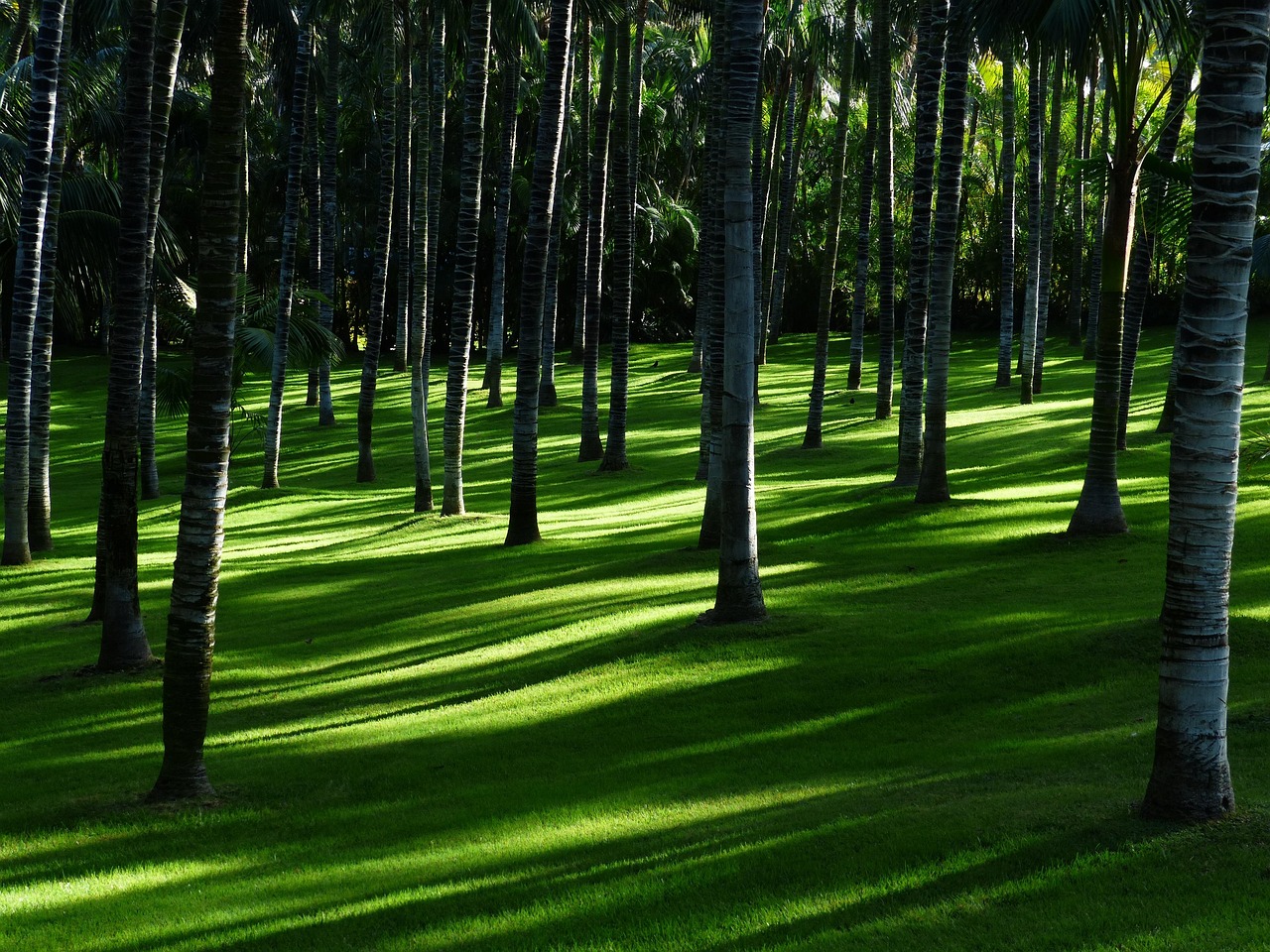 Houten afscheiding voor serene tuinomgeving.