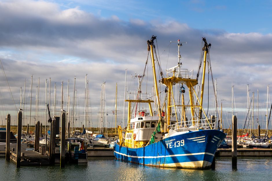 Zeehonden zeepdispenser op schelpvormig badkamertafeltje.