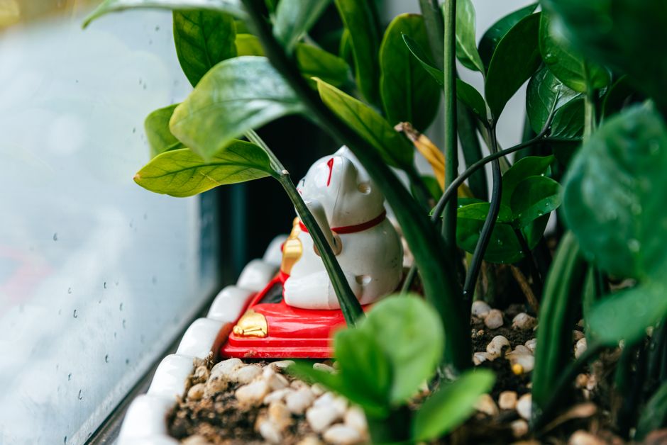 Heldere keuken met strategisch geplaatste groene planten.